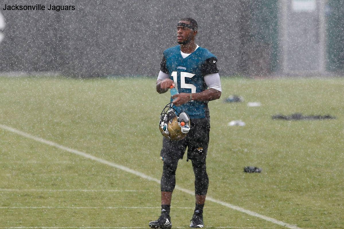 Fans Erupt as Jacksonville Jaguars Improve to 7-4 After Week 12 Victory Fans Erupt as Jacksonville Jaguars Improve to 7-4 After Week 12 Victory