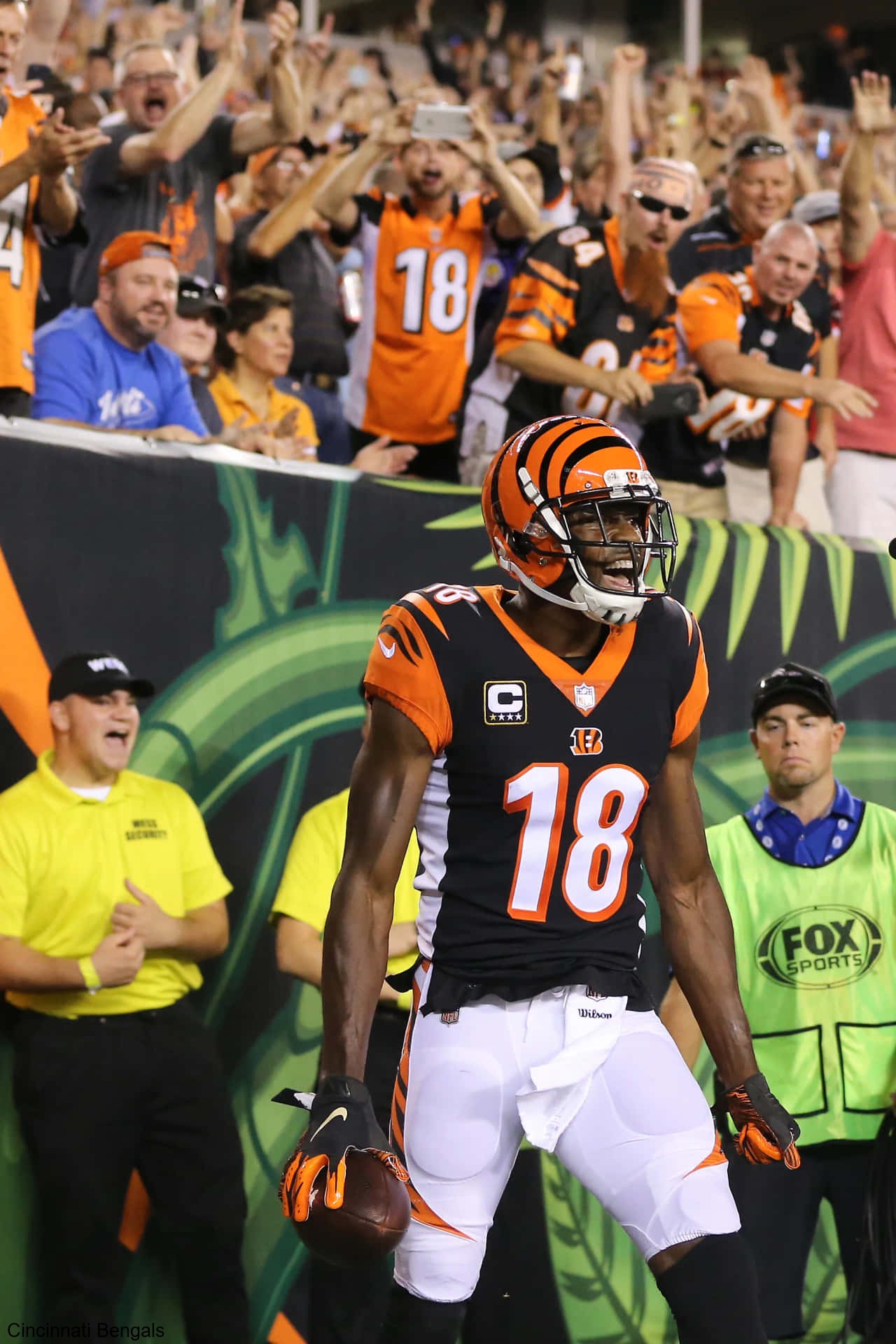Playoff Dreams Renewed with Victories for the Cincinnati Bengals