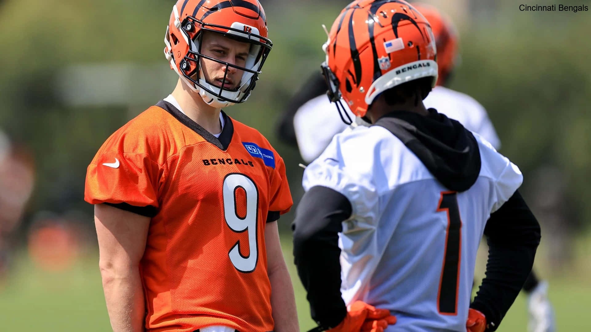 Defensive Veterans' Experience Benefits the Cincinnati Bengals