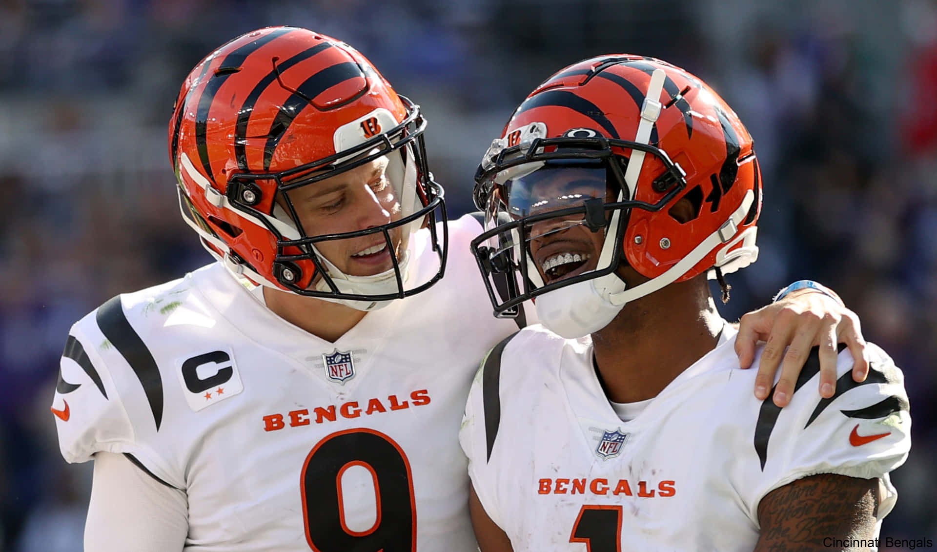 Defensive Prowess Dominates Discussions About the Cincinnati Bengals