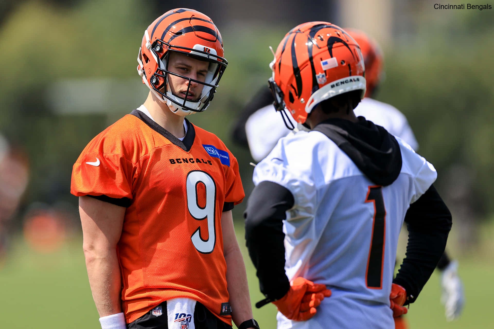 Injury Management Strategies Employed by the Cincinnati Bengals