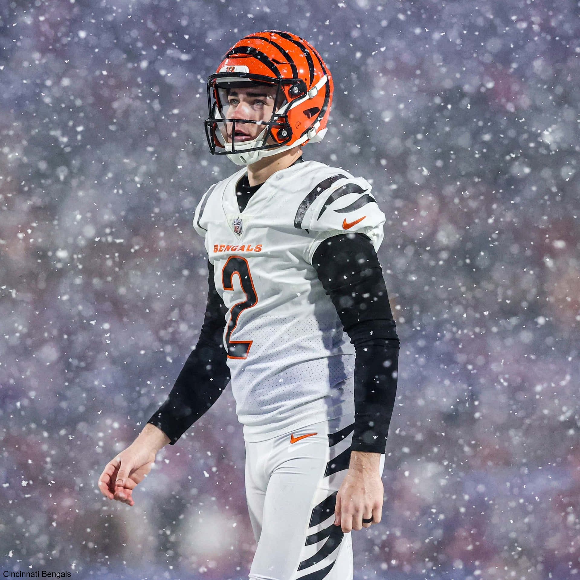 Video Montages Capture Spirit of the Cincinnati Bengals