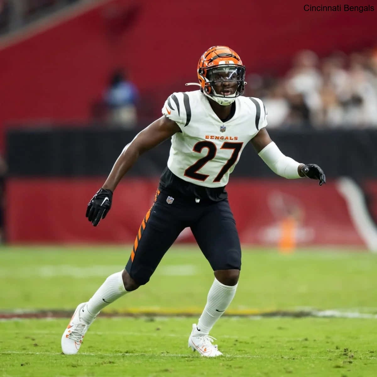 Bills Week Hype Video Released by the Cincinnati Bengals