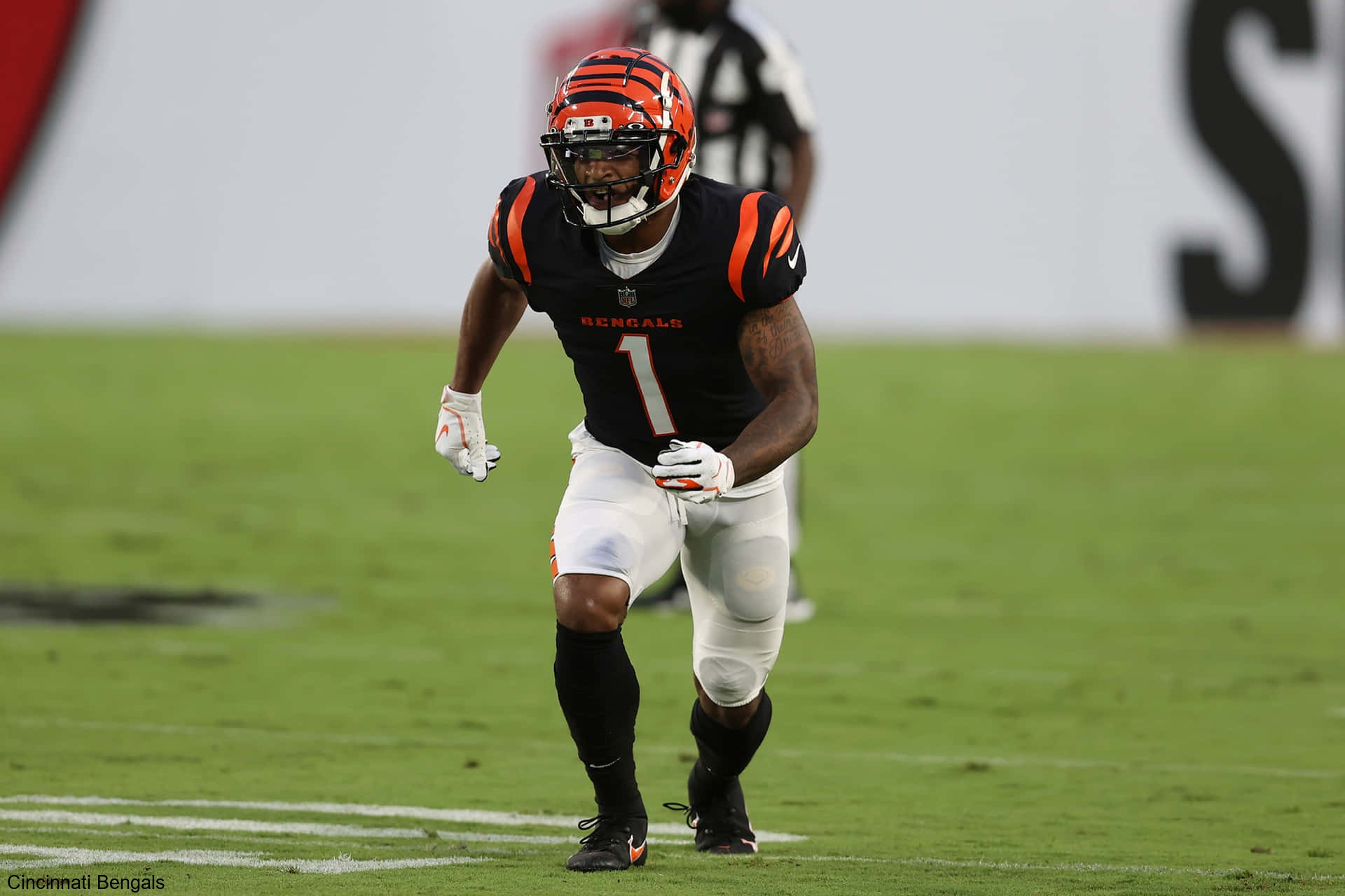 Tee Higgins' Concussion Update Brings Caution to the Cincinnati Bengals