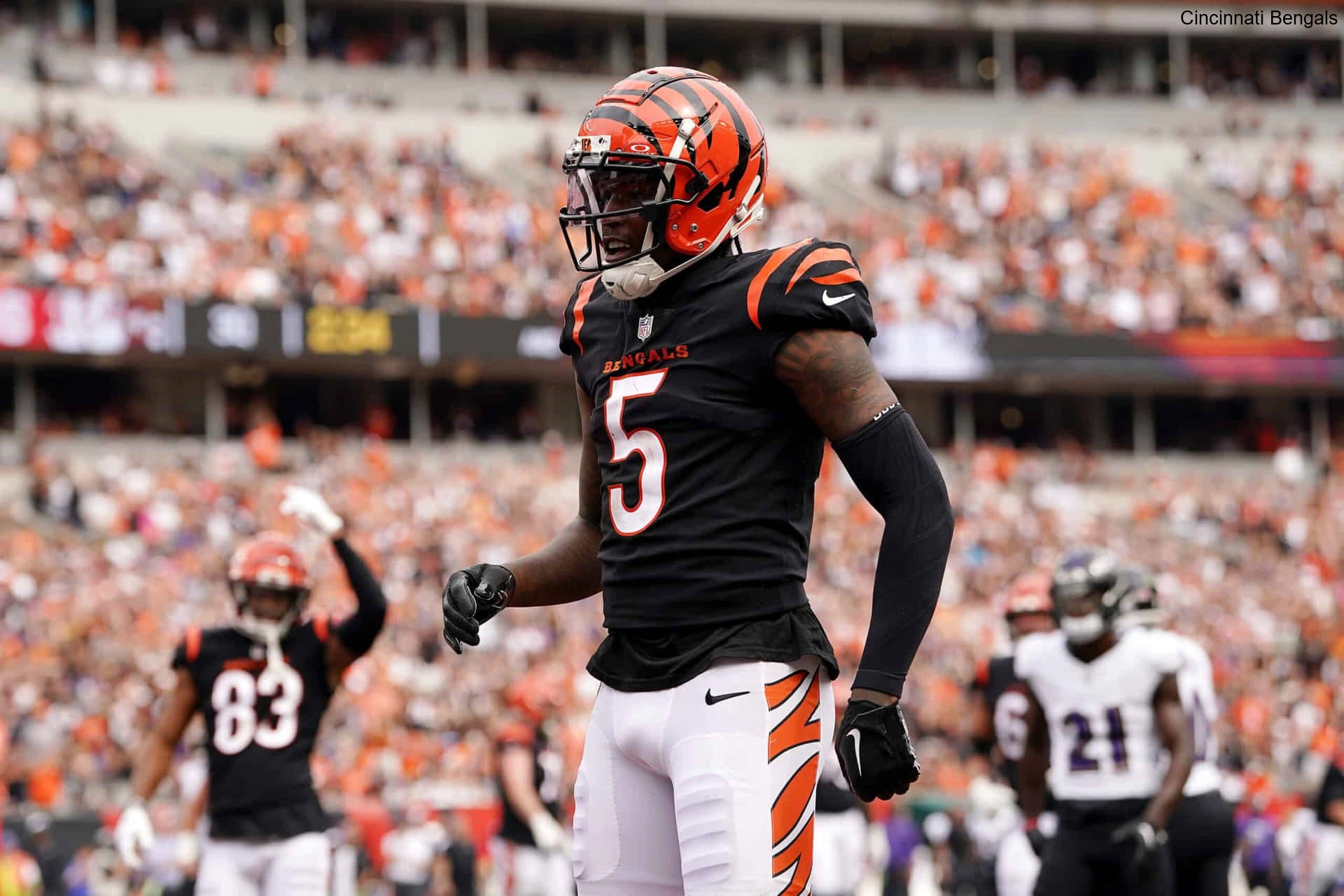 Fan Polls Debate Strategies for the Cincinnati Bengals