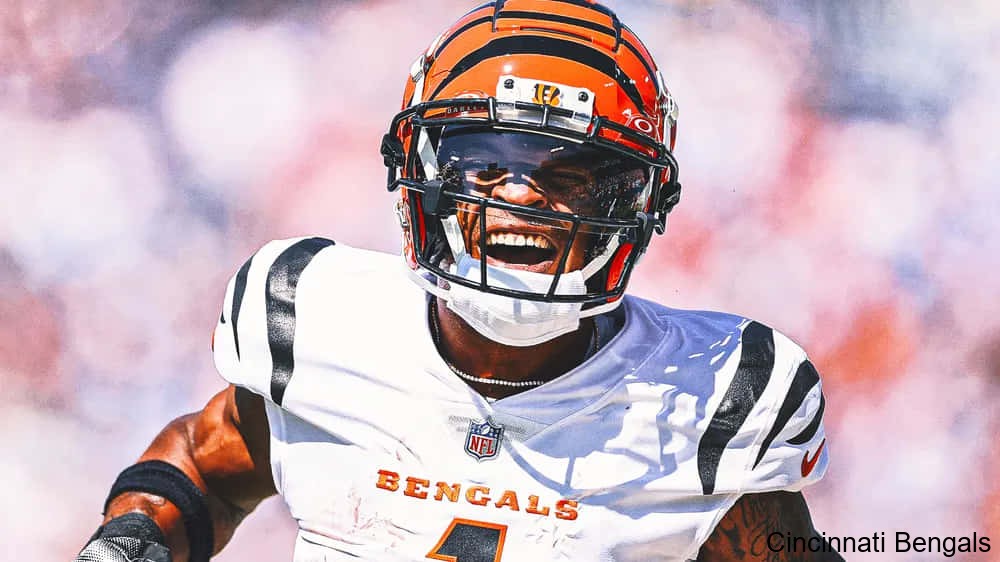 Fan Reactions Flood In After Latest Game for the Cincinnati Bengals Fan Reactions Flood In After Latest Game for the Cincinnati Bengals