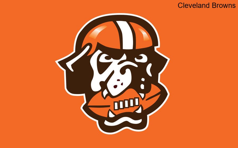 Fan Support Grows Stronger for the Cleveland Browns' Journey Fan Support Grows Stronger for the Cleveland Browns' Journey