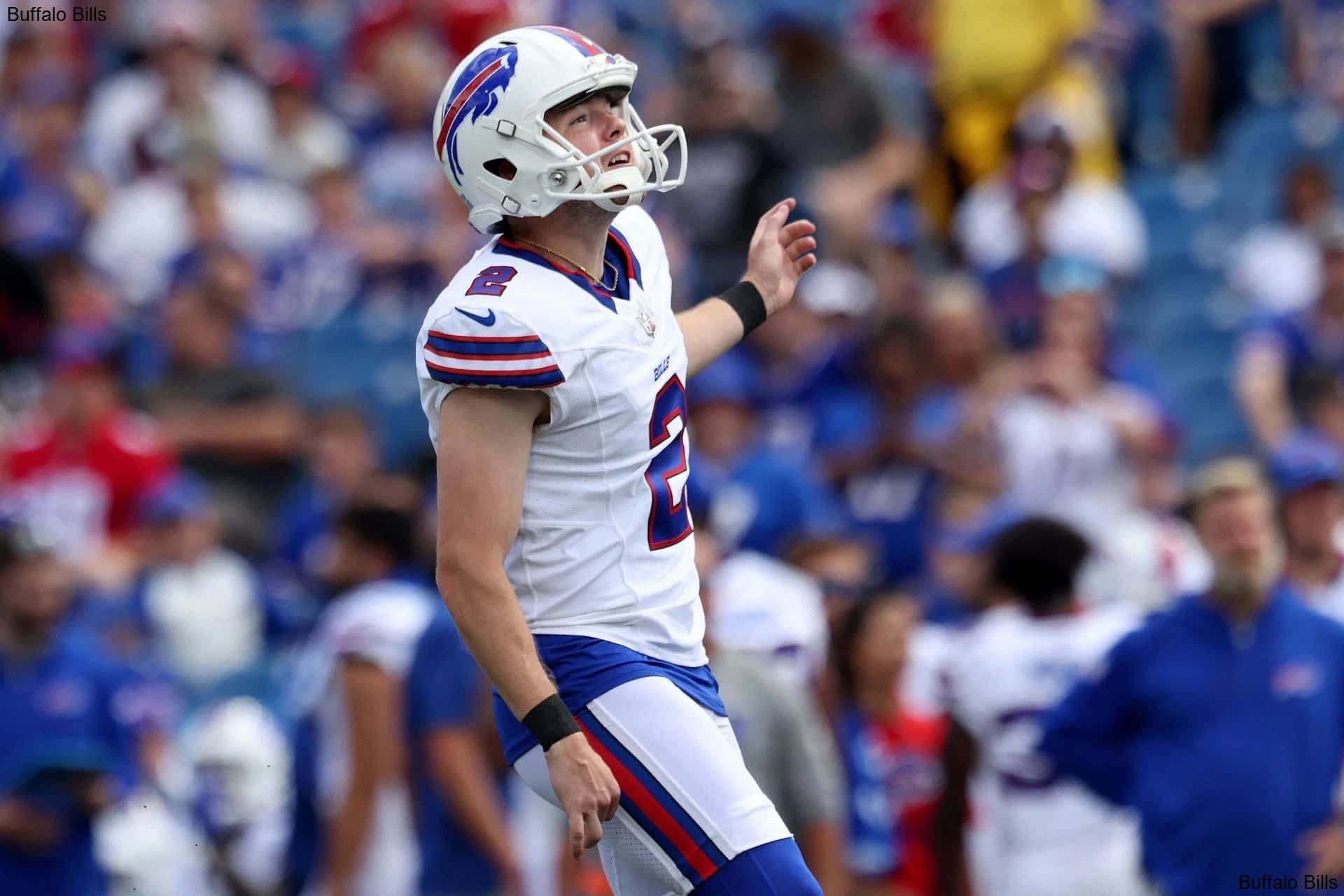 Buffalo Bills Mascot Billy Buffalo Buffalo Bills Buffalo Bills Mascot Billy Buffalo Buffalo Bills