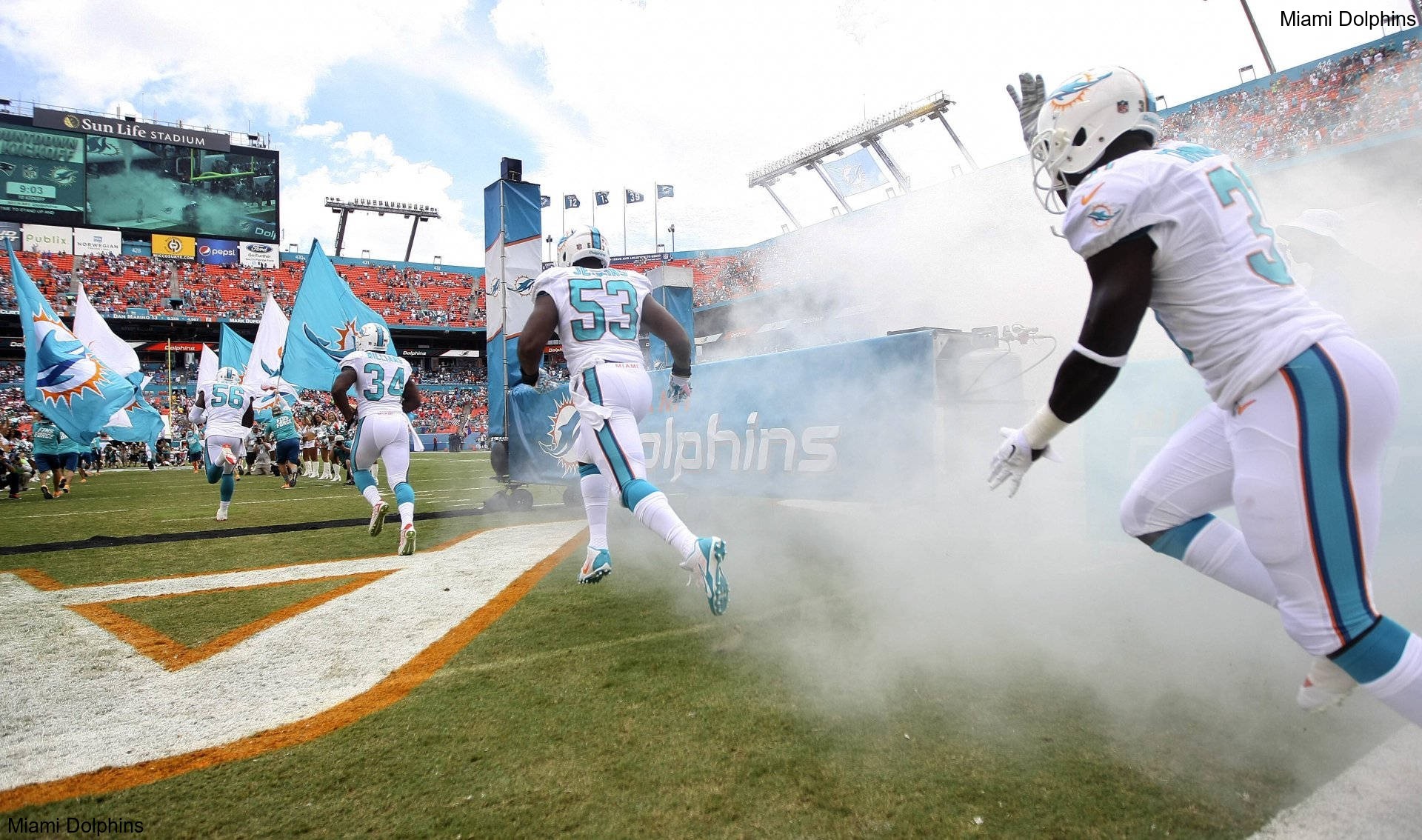Return Window Activated for Veteran TE on the Miami Dolphins Return Window Activated for Veteran TE on the Miami Dolphins