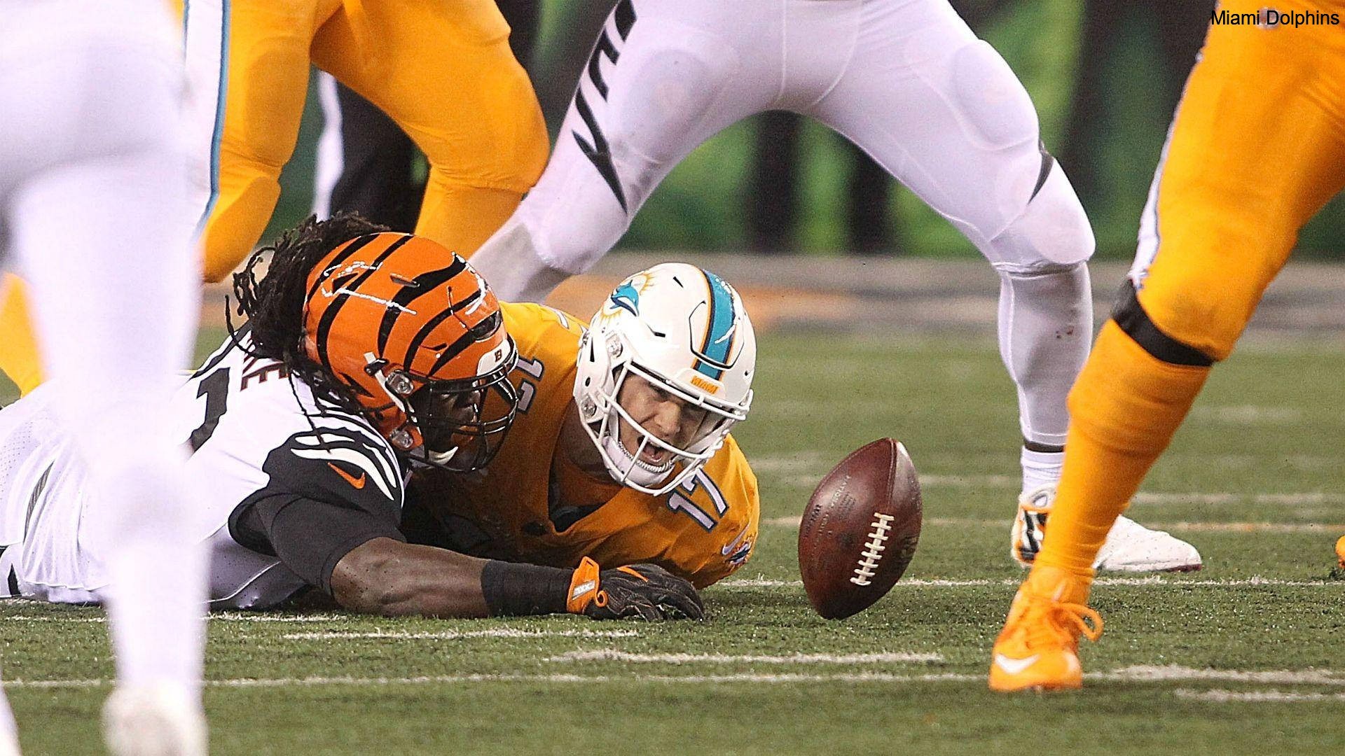 Miami Dolphins: Immigrant Youth, Career Pathways, and How Fandom Fuels Future Dreams Miami Dolphins: Immigrant Youth, Career Pathways, and How Fandom Fuels Future Dreams