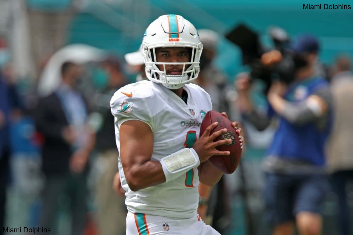 Top 5 Players to Watch on the Miami Dolphins Roster Top 5 Players to Watch on the Miami Dolphins Roster