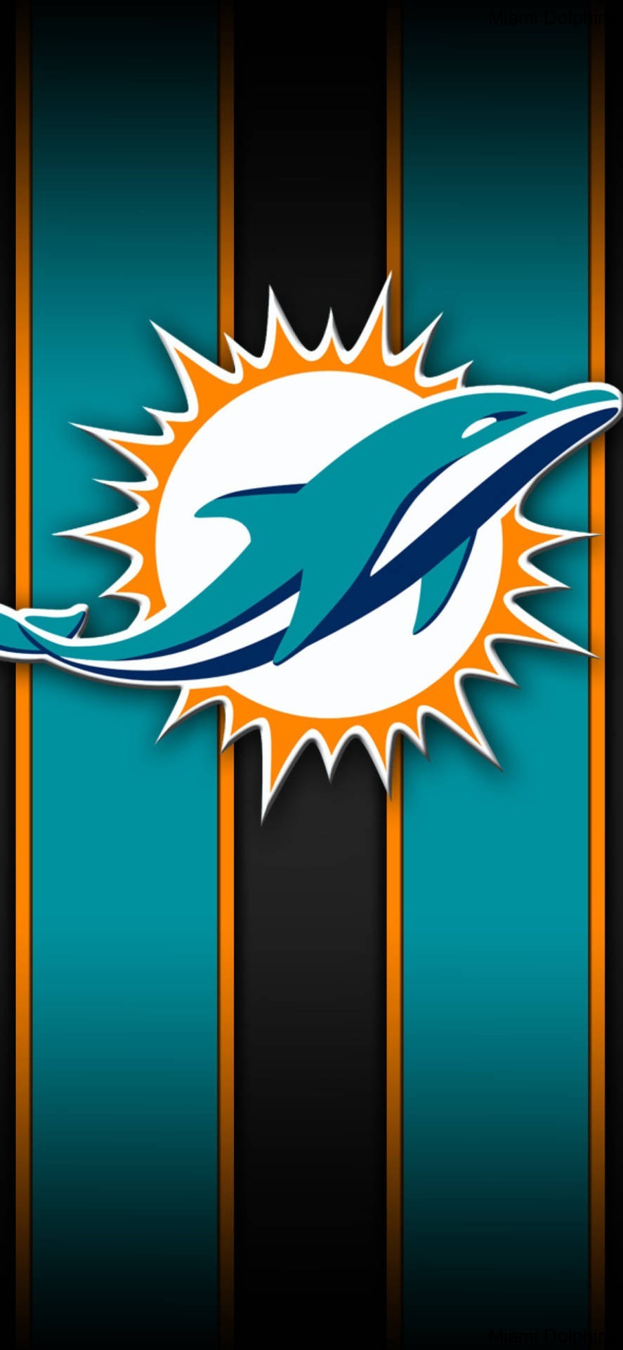 What the Experts Are Saying About the Miami Dolphins What the Experts Are Saying About the Miami Dolphins